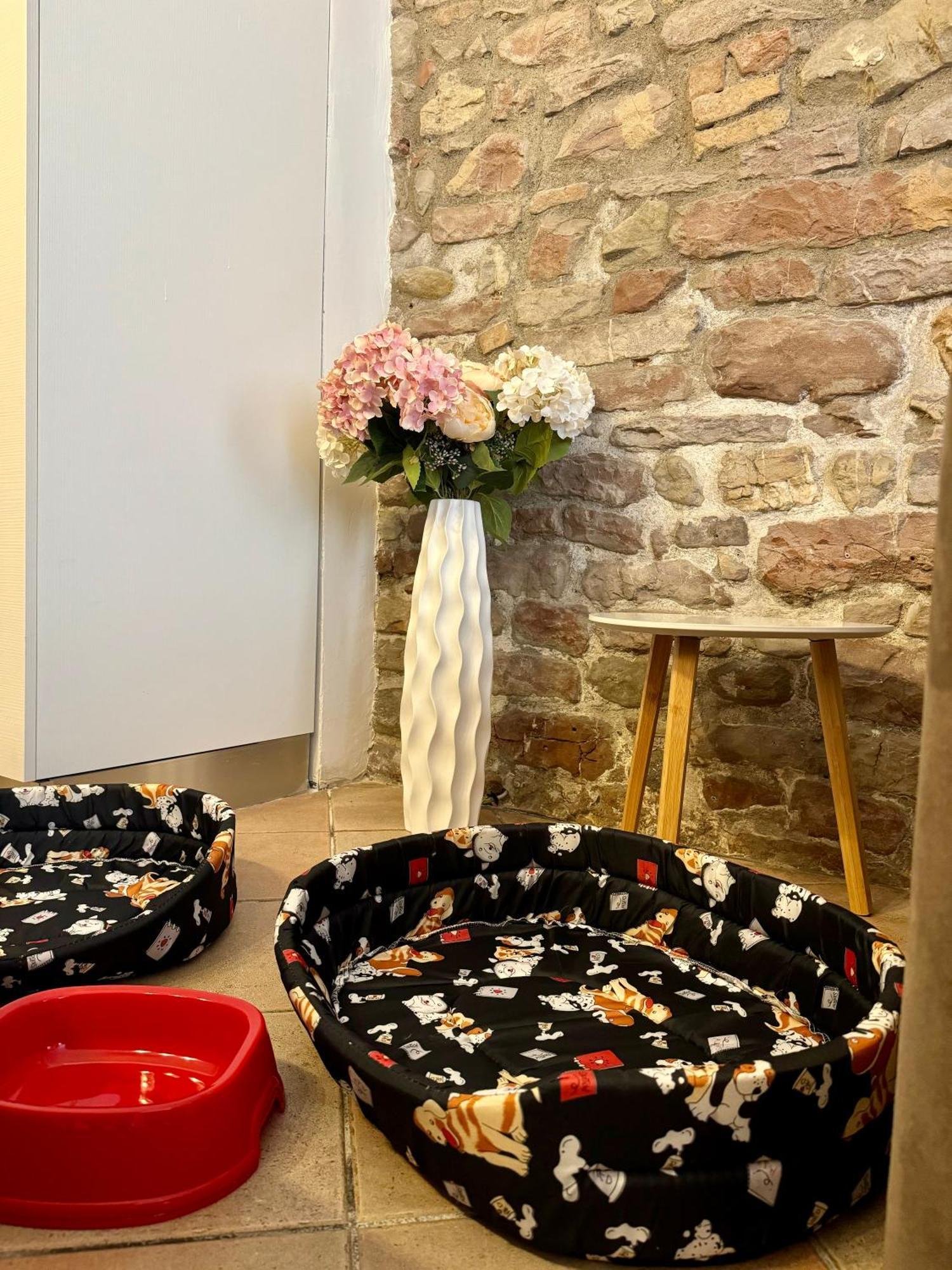 Giulivi Assisi Apartments المظهر الخارجي الصورة